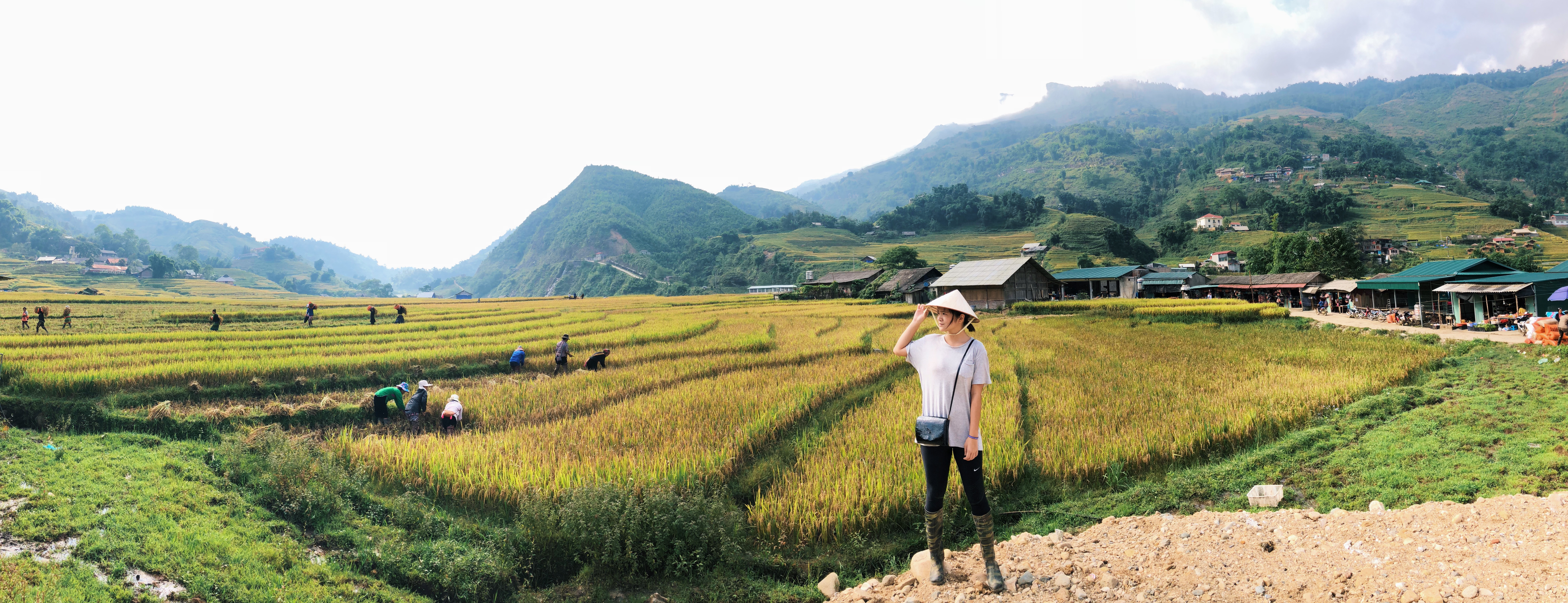 Processed with VSCO with g6 preset