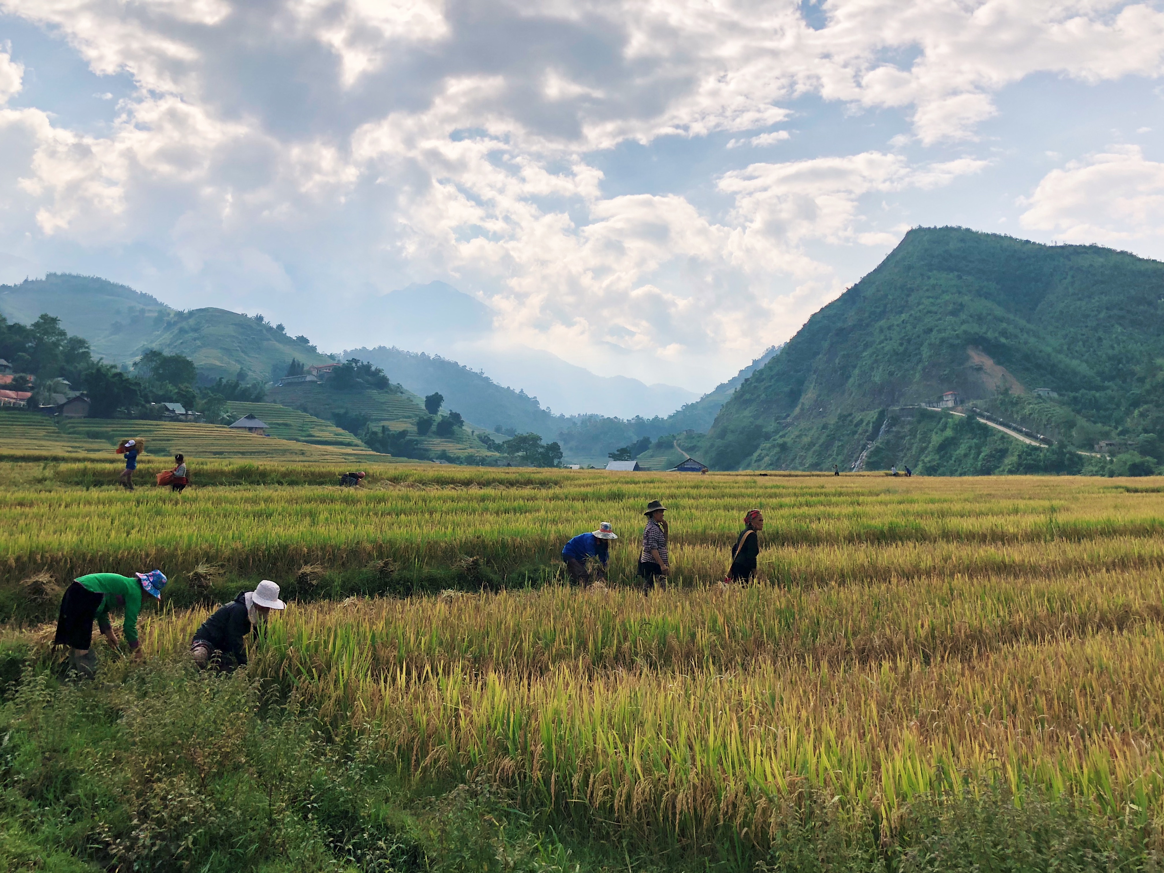 Processed with VSCO with g6 preset