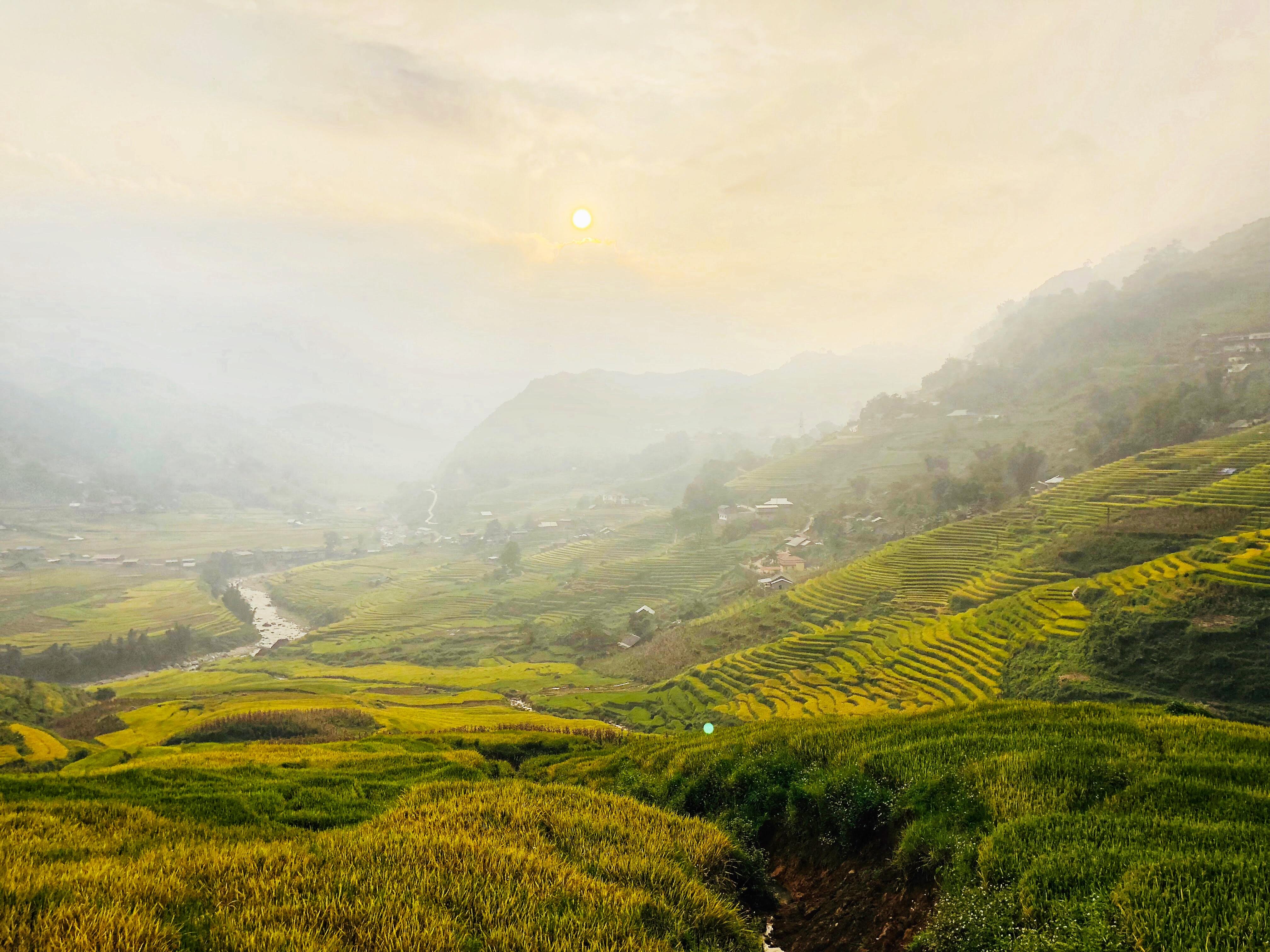 FullSizeRender (1).jpg