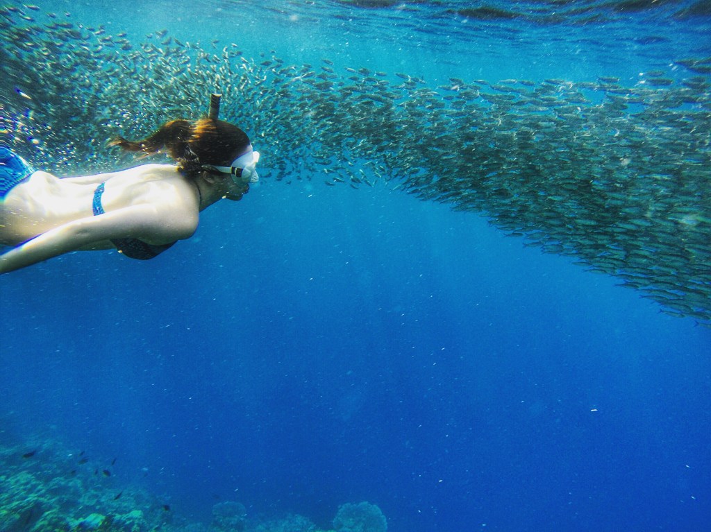 Cebu 宿霧薄荷島 / 在地人帶我們躍入沙丁魚風暴與9米高空跳台